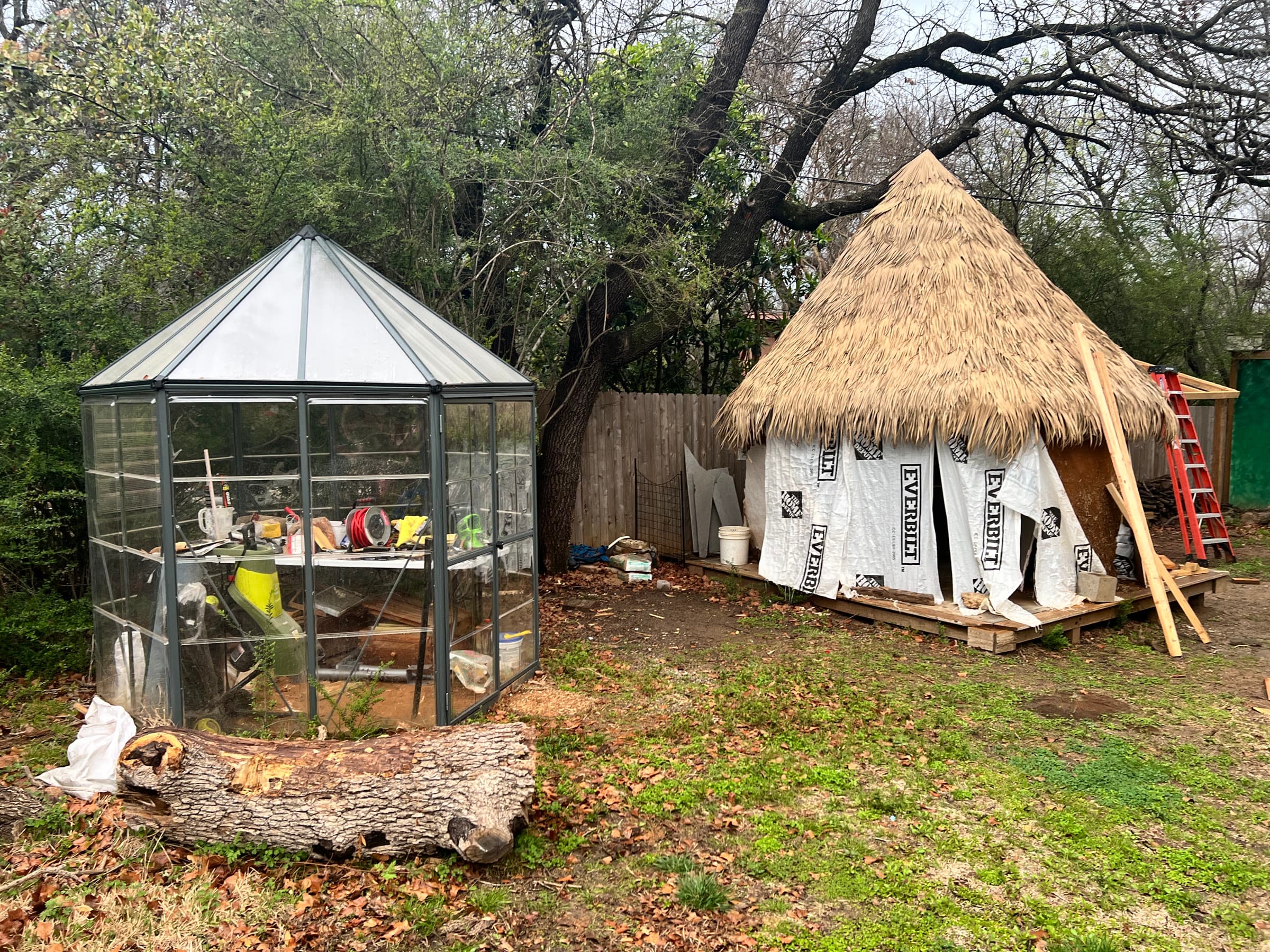 The site early on — thatched-roof structure with a backyard greenhouse