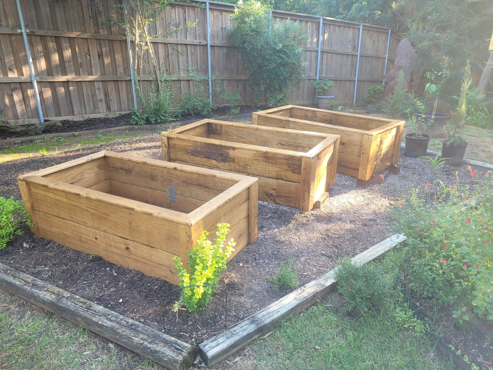 Backyard Raised Beds